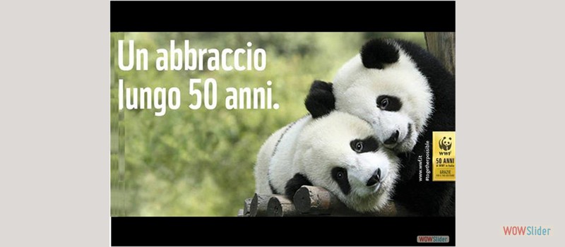 wwf-50anni-119379.660x368